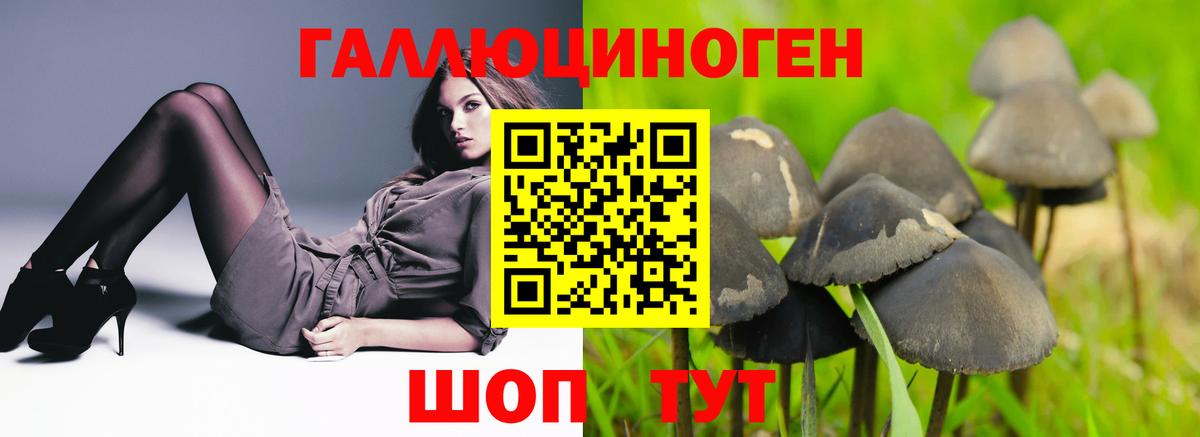 Псилоцибиновые грибы Cubensis  Вход с VPN  Псилоцибиновые грибы ЛСД  Мелеуз 